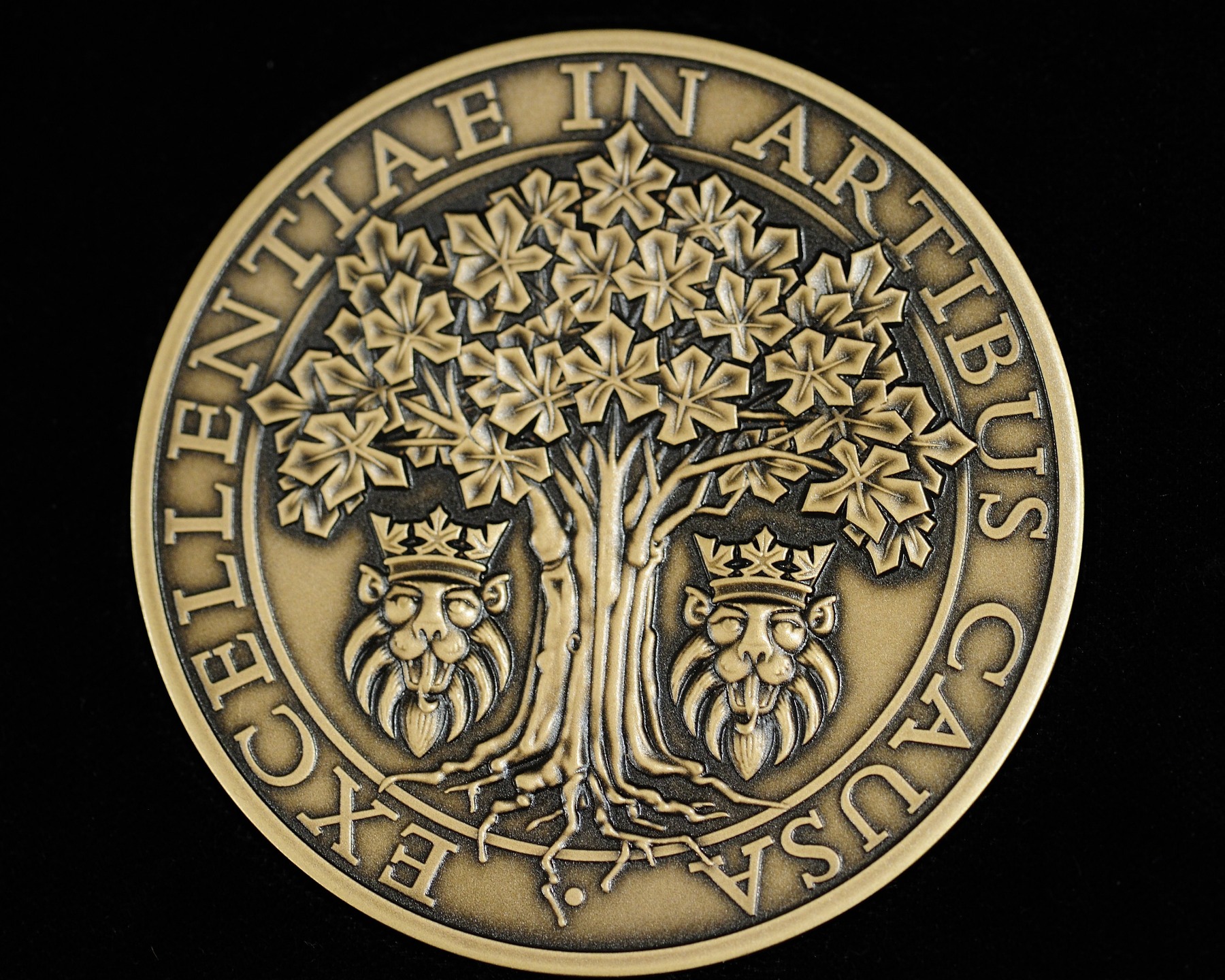 The Governor General of Canada > Photos > Governor General’s Awards in