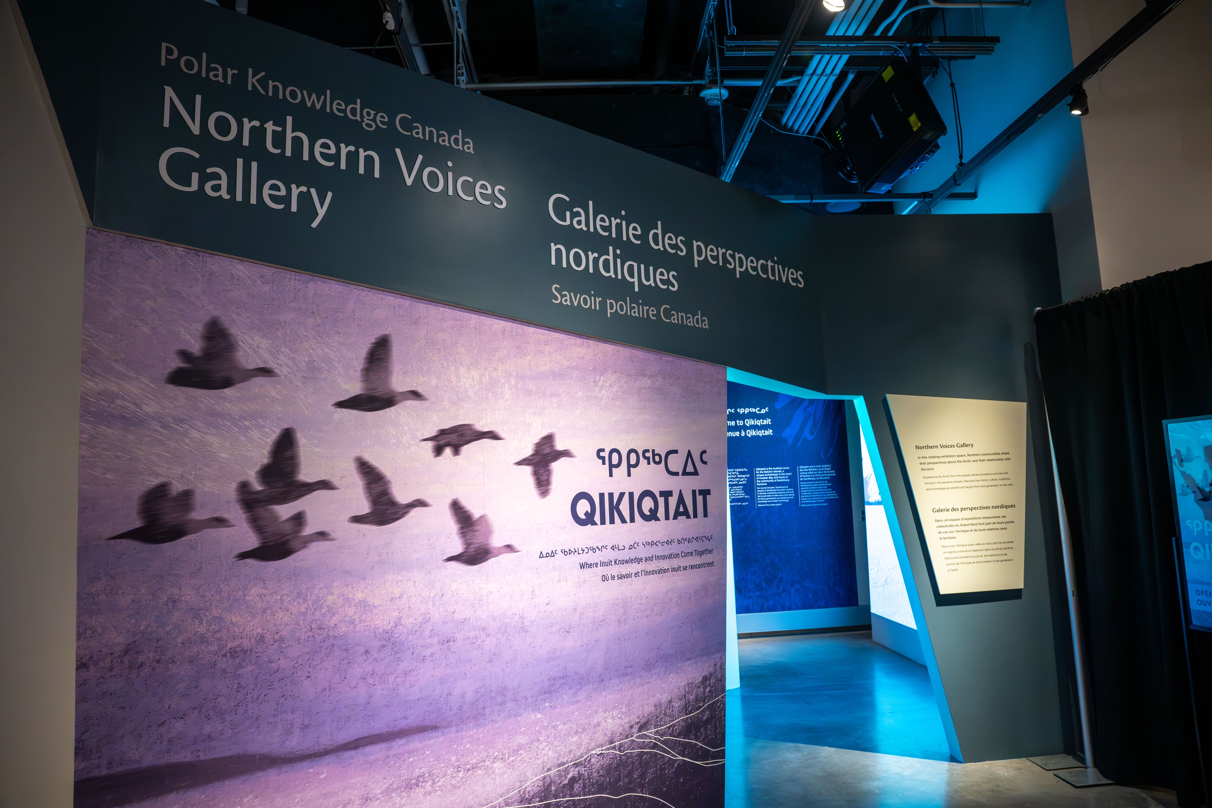Exhibit entrance of Northern Voices Gallery, featuring artwork of flying geese against a purple sky.