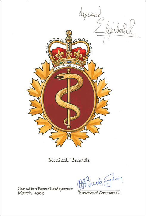 Letters patent confirming the blazon of the Flag and Badge of the Canadian Forces Medical Services