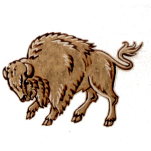 Badge of D Division (Winnipeg)