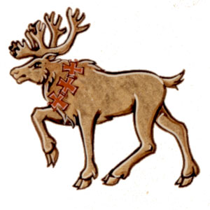 Badge of B Division (St. John's)