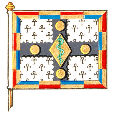 Flag of the Medical Alumni Association of the University of Toronto