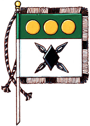 Drapeau de John Gregory McKinnon