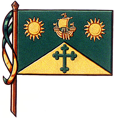 Flag of St. Thomas University