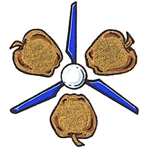 Badge of William Olsen Apold