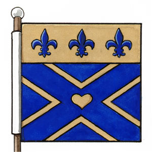 Flag of Down Syndrome Society of Québec - National Organization