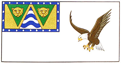 Flag of the Village of Port Alice