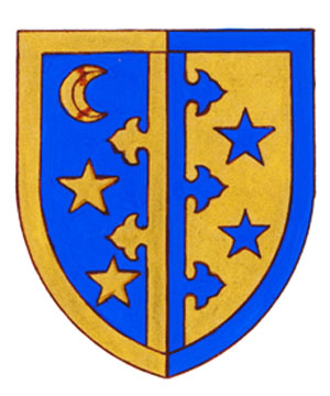 Differenced Arms for Saira Aysha Siddiqi, daughter of Javed Siddiqi