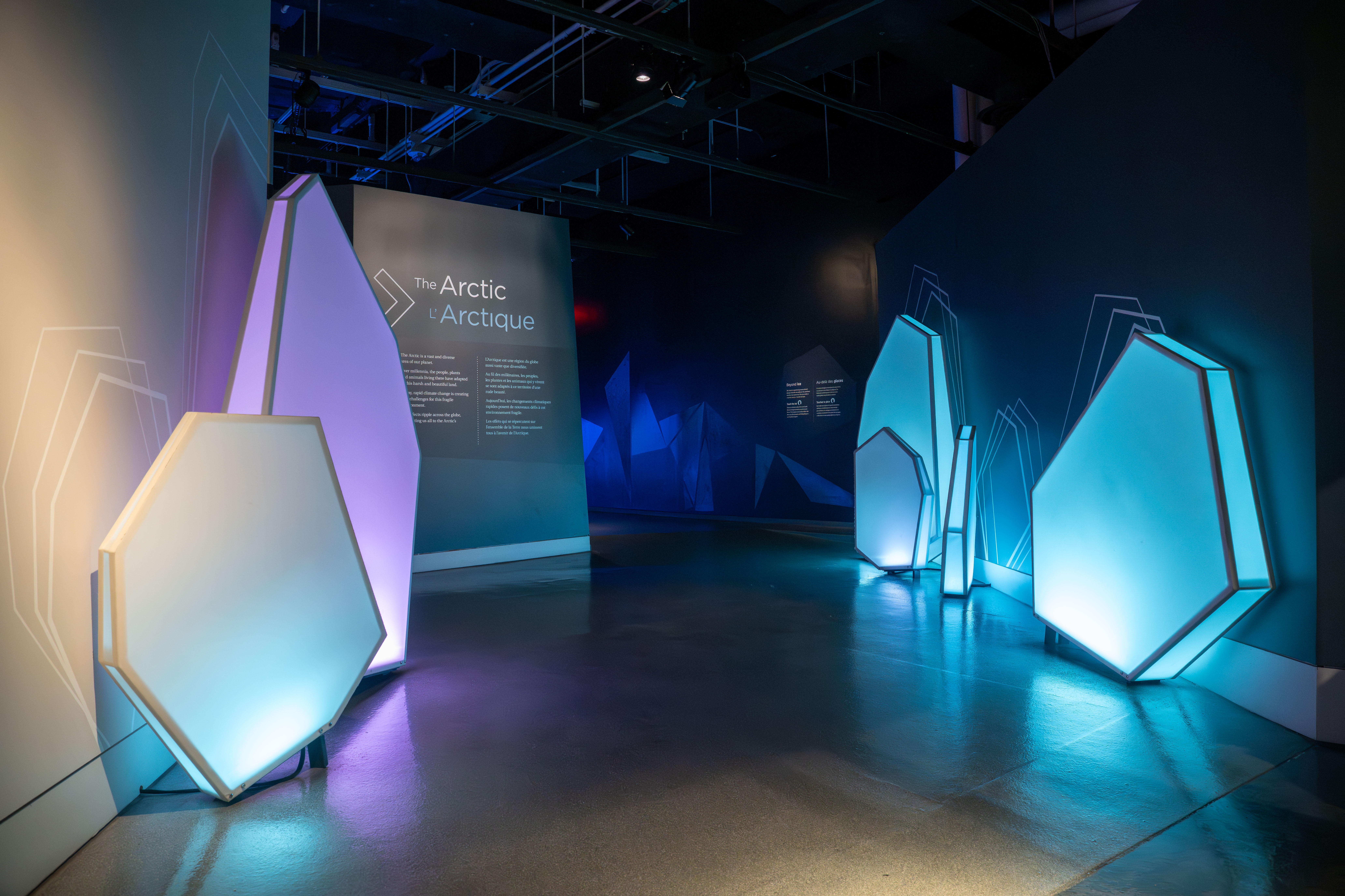A dimly lit museum exhibit titled "The Arctic." Geometric panels on walls emit cool blue light, creating a serene atmosphere.