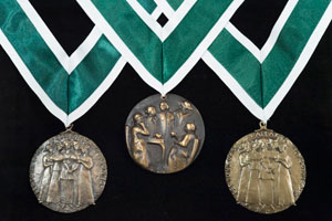 Governor General’s Awards in Commemoration of the Persons Case