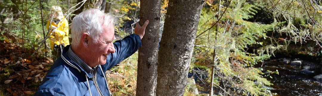 Le gouverneur général pose sa main sur un arbre et admire le paysage. 