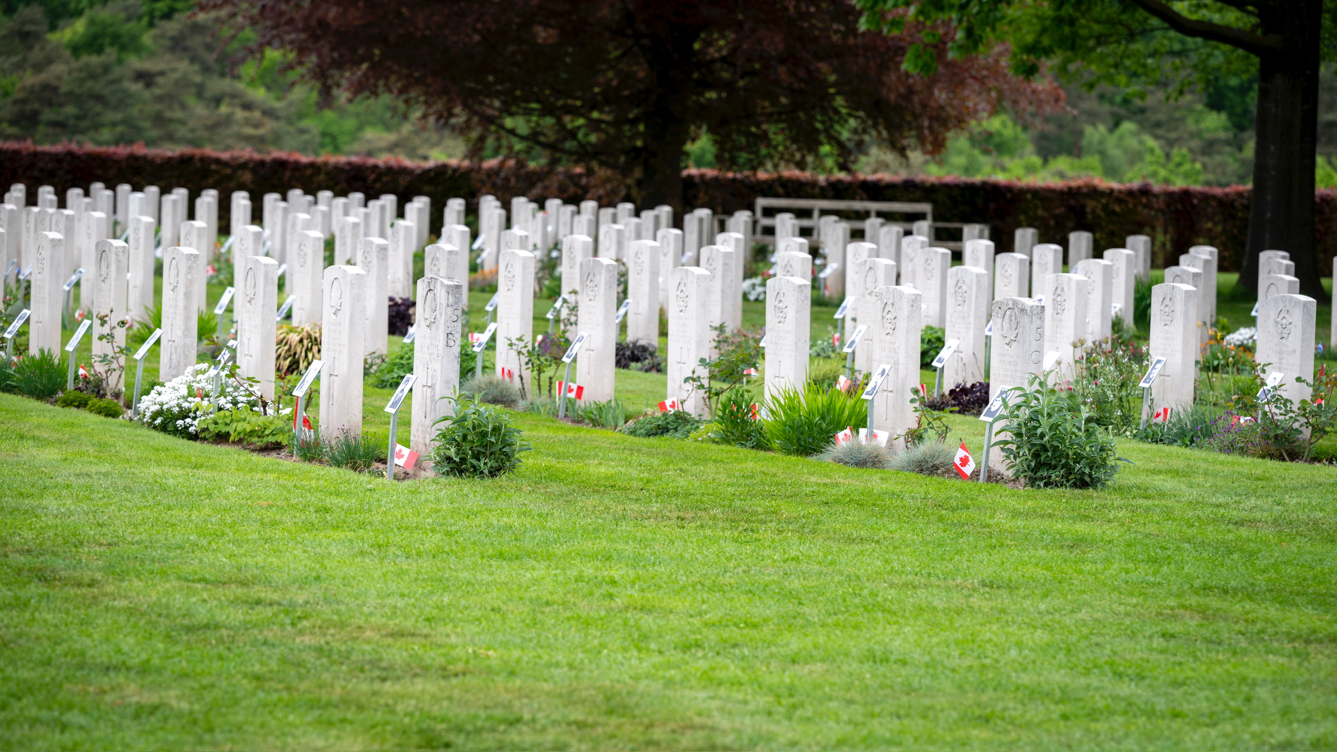 Le cimetière de guerre canadien de Groesbeek.