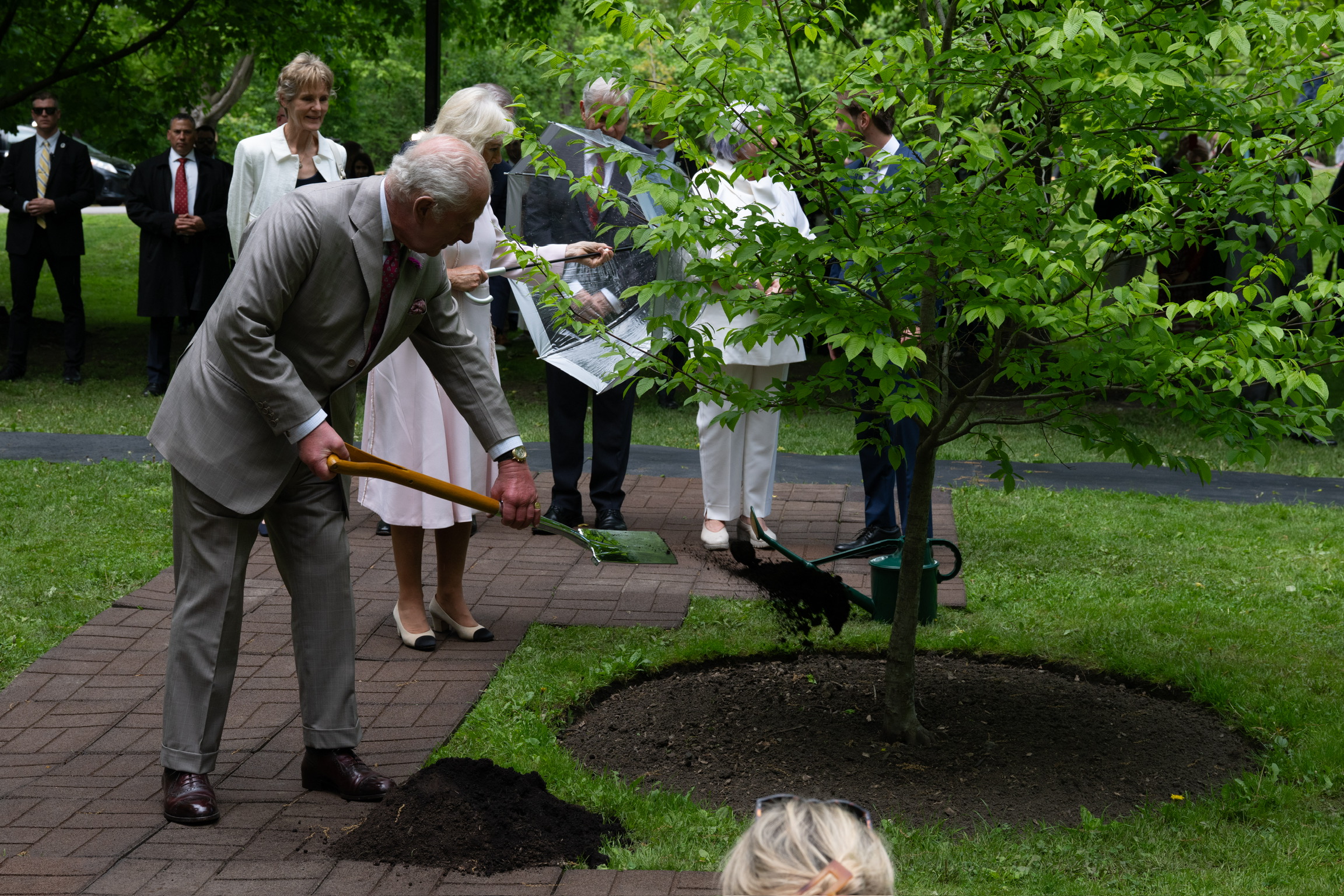 Sa Majesté le Roi Charles III pelletant de la terre au pied d'un arbre.