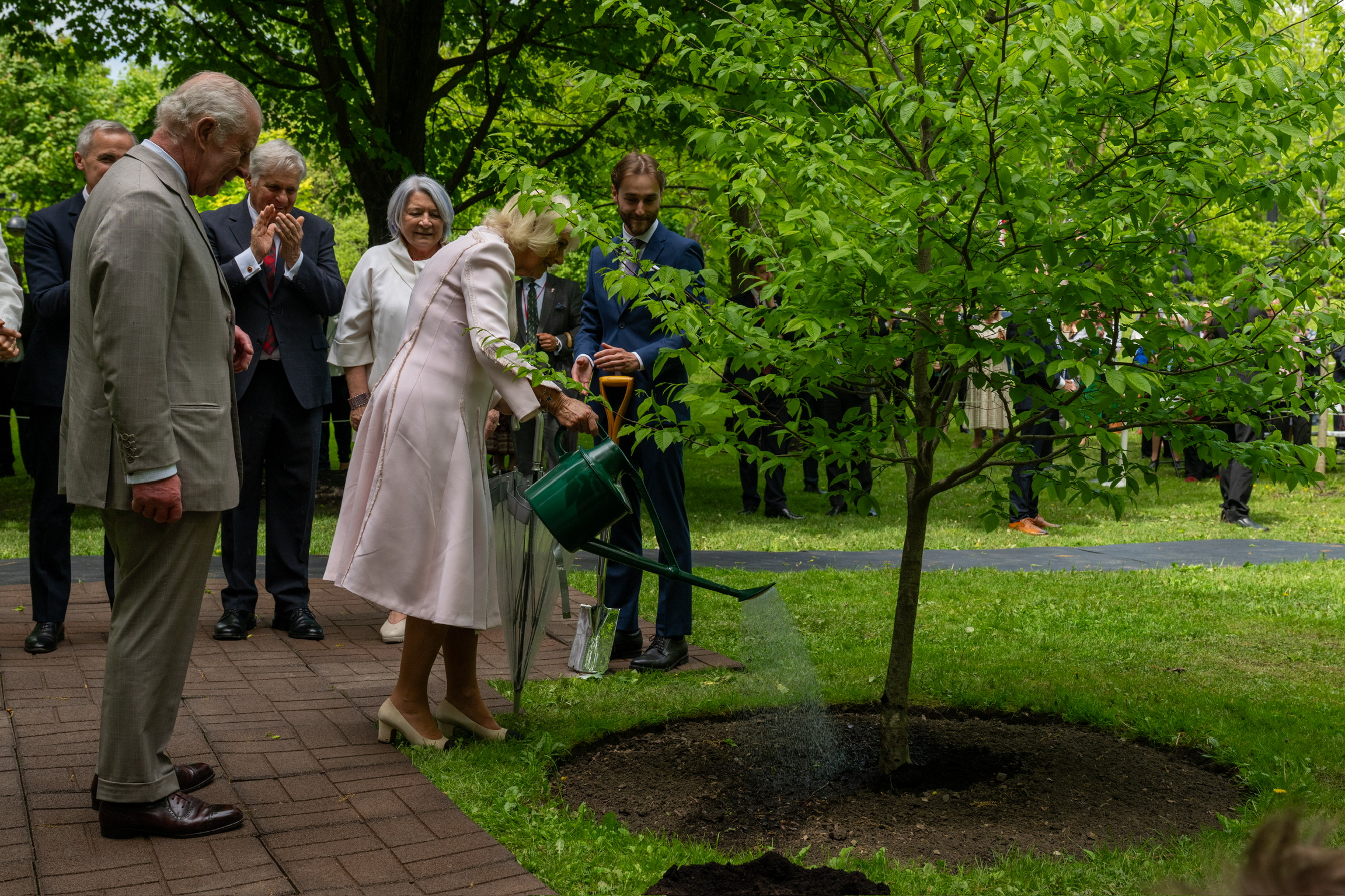 La reine Camilla arrose un arbre.