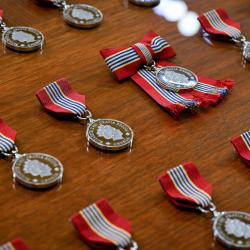Une rangée de médailles de la Médaille souveraine du bénévolat.