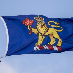 The Governor General's Flag