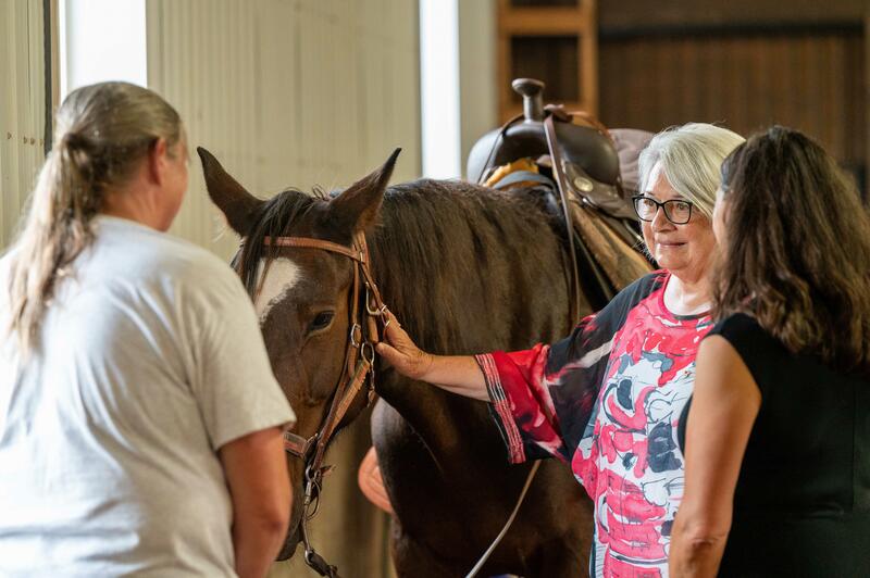 The Governor General pets a horse at the Serene View Ranch.