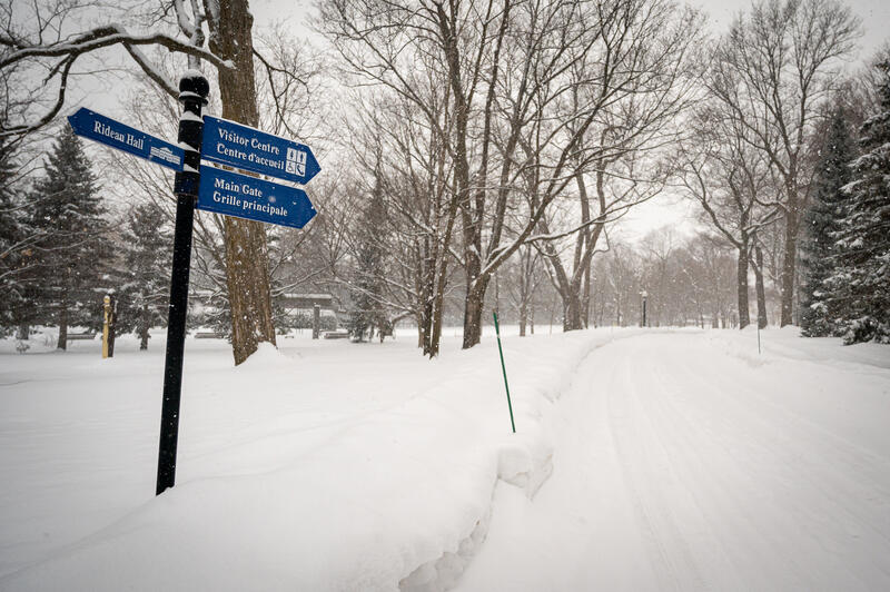 Snow-covered road in a peaceful winter scene, flanked by leafless trees. Blue directional signs point to Rideau Hall, Visitor Centre, and Main Gate.