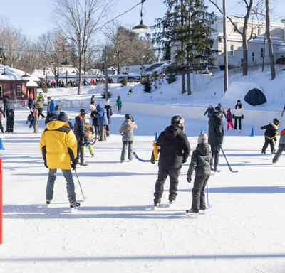 A photo of the Rideau Hall skating rink.  In the fore-ground, people are playing hockey, in the back, people are enjoying free skating. 