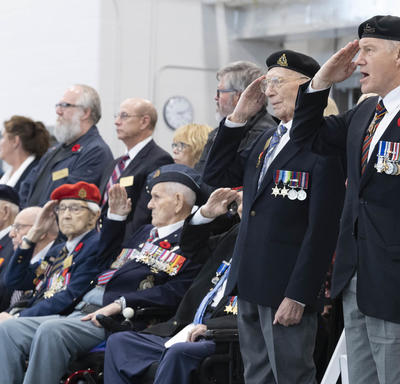Veterans salute. 