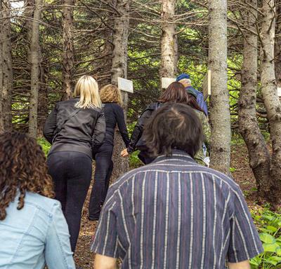 The Governor General and a small group venture into the woods to view the marked trees at the Verger.