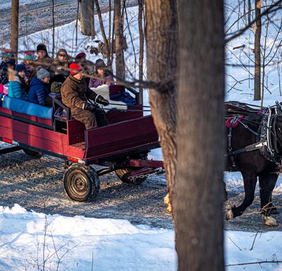Some visitors took a break and climbed aboard a horse-drawn wagon.