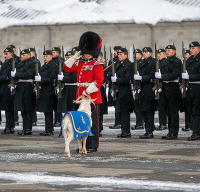 Un garde cérémoniel salue. Il y a une chèvre avec lui et des militaires derrière eux.