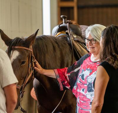 The Governor General pets a horse at the Serene View Ranch.