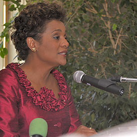 Reception in honour of the African Heads of delegation