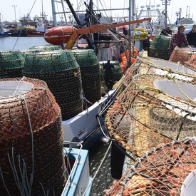 Visit to New Brunswick - Day 2