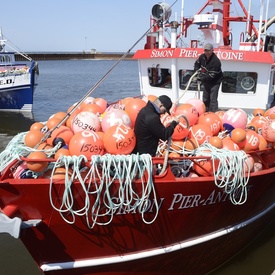 Visit to New Brunswick - Day 2