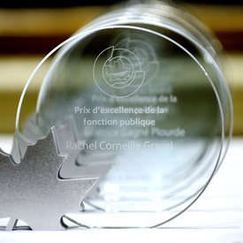 2015 Public Service Award of Excellence