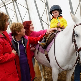 Visit to St. John’s, Newfoundland and Labrador - Day 3