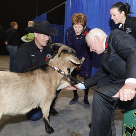 The 93rd Royal Agricultural Winter Fair