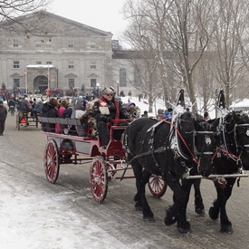 Winter Celebration 2016