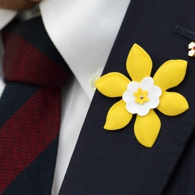 2016 Daffodil Month