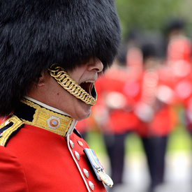 Annual Inspection of the Ceremonial Guard and Storytime