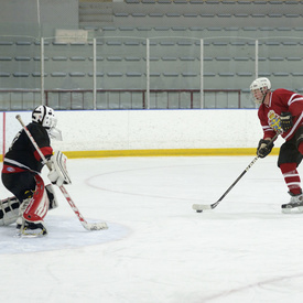 Friendly Hockey Game