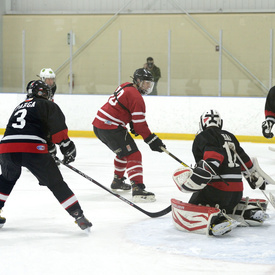 Friendly Hockey Game