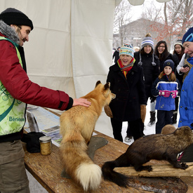 Winter Celebration 2016
