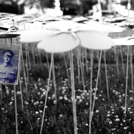 Visit to St. John’s, Newfoundland and Labrador - Day 1