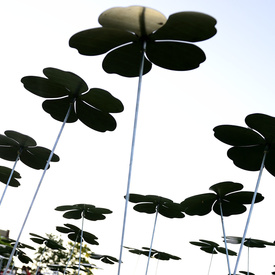 Visit to St. John’s, Newfoundland and Labrador - Day 1