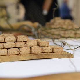 Visit to the Citadelle of Québec - Day 1