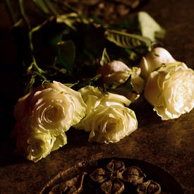 Vigil on Parliament Hill