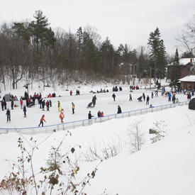 Winter Celebration 2018