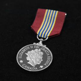 Presentation of the Medal for Volunteers