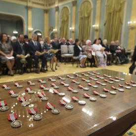 Presentation of the Medal for Volunteers