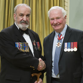 Presentation of the Medal for Volunteers