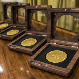 Canadian Institutes of Health Research Gold Leaf Prizes 2016