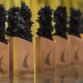 2017 Governor General’s Innovation Awards